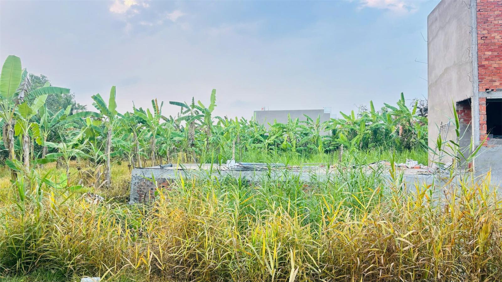 ĐẤT ĐẸP – GIÁ TỐT  – CHÍNH CHỦ CẦN BÁN Tại Lốc C KHU DÂN CƯ ĐẠI LỘC PHÁT, Phường An Bình 15979780