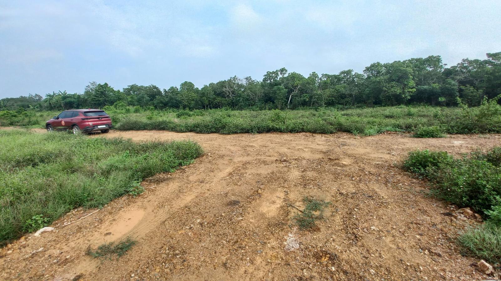 Bán 1000m Đất Mặt Tiền Tà Lài xã Phú Lộc, huyện Tân Phú, Đồng Nai - Quy Hoạch Đất Ở 15979843