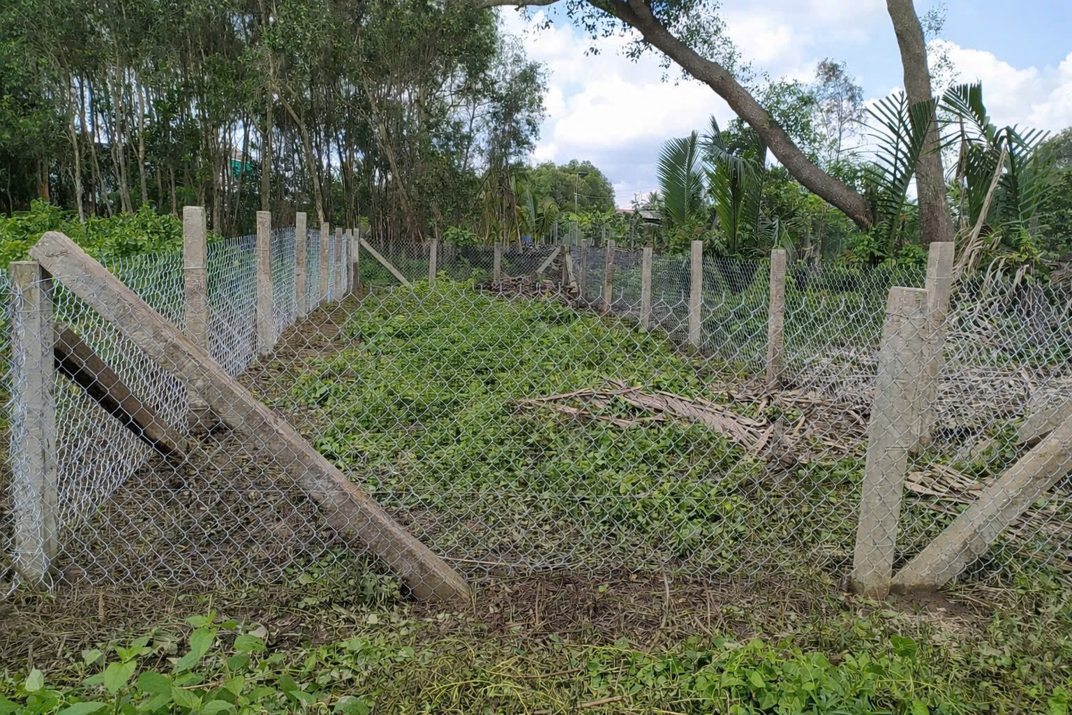 CHÍNH CHỦ BÁN SIÊU PHẨM ĐẤT ĐẸP *** Phù Hợp Cho Mọi Gia Đình 15979891