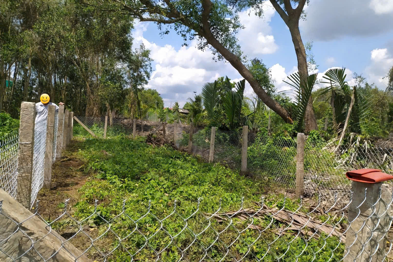 CHÍNH CHỦ BÁN SIÊU PHẨM ĐẤT ĐẸP *** Phù Hợp Cho Mọi Gia Đình 15979891