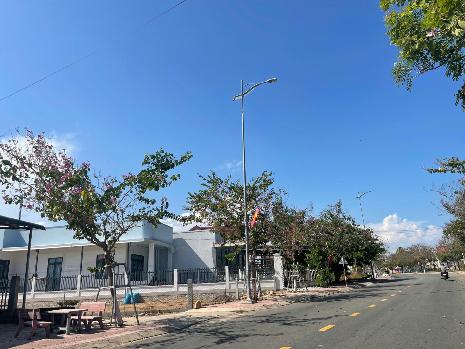 Bán 5.1 sào đất ODT Mặt tiền Nguyễn Du - LaGi gần Biển Cam Bình 3.3tr/m2 15979900