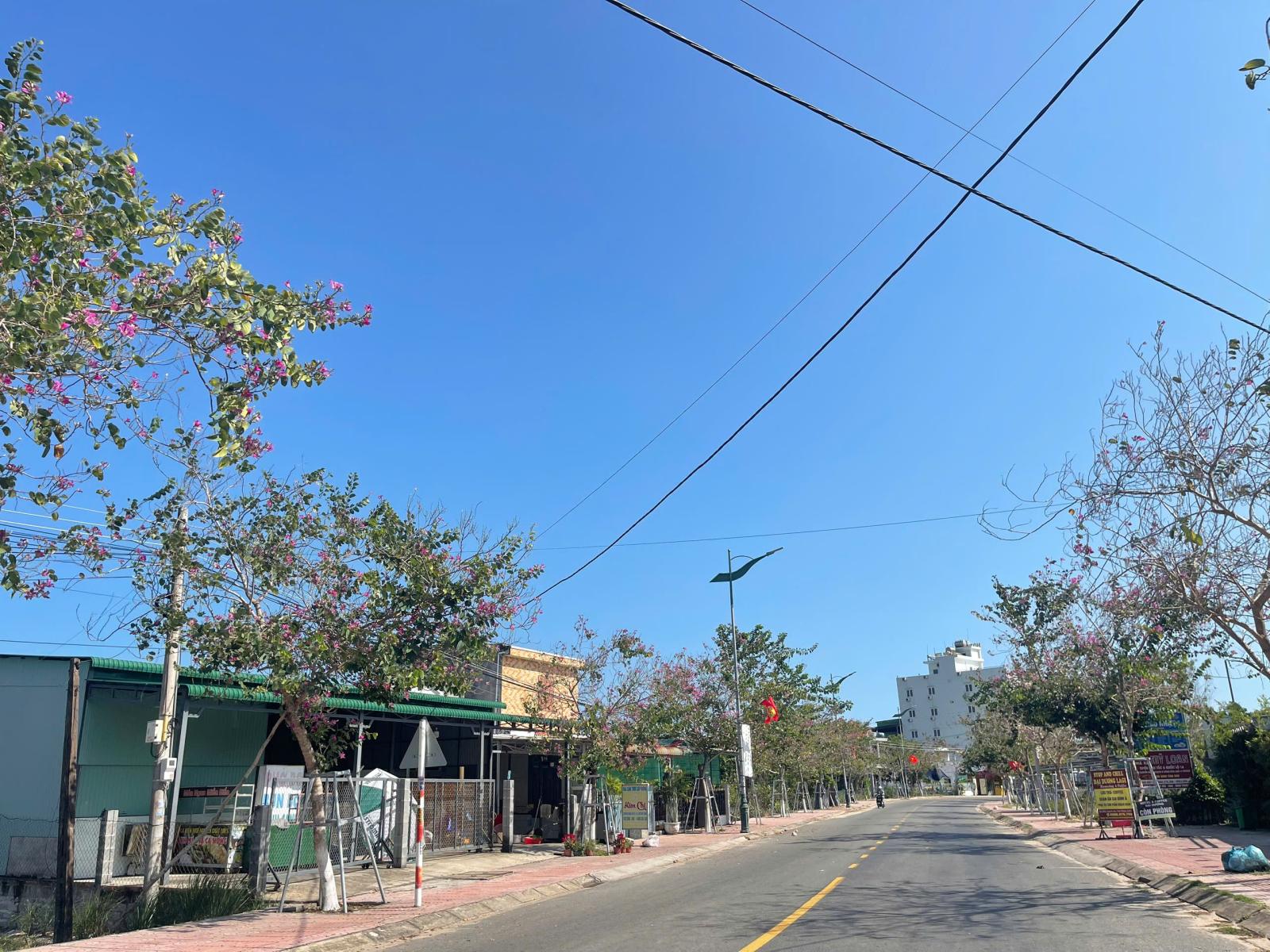 Bán 5.1 sào đất ODT Mặt tiền Nguyễn Du - LaGi gần Biển Cam Bình 3.3tr/m2 15979900