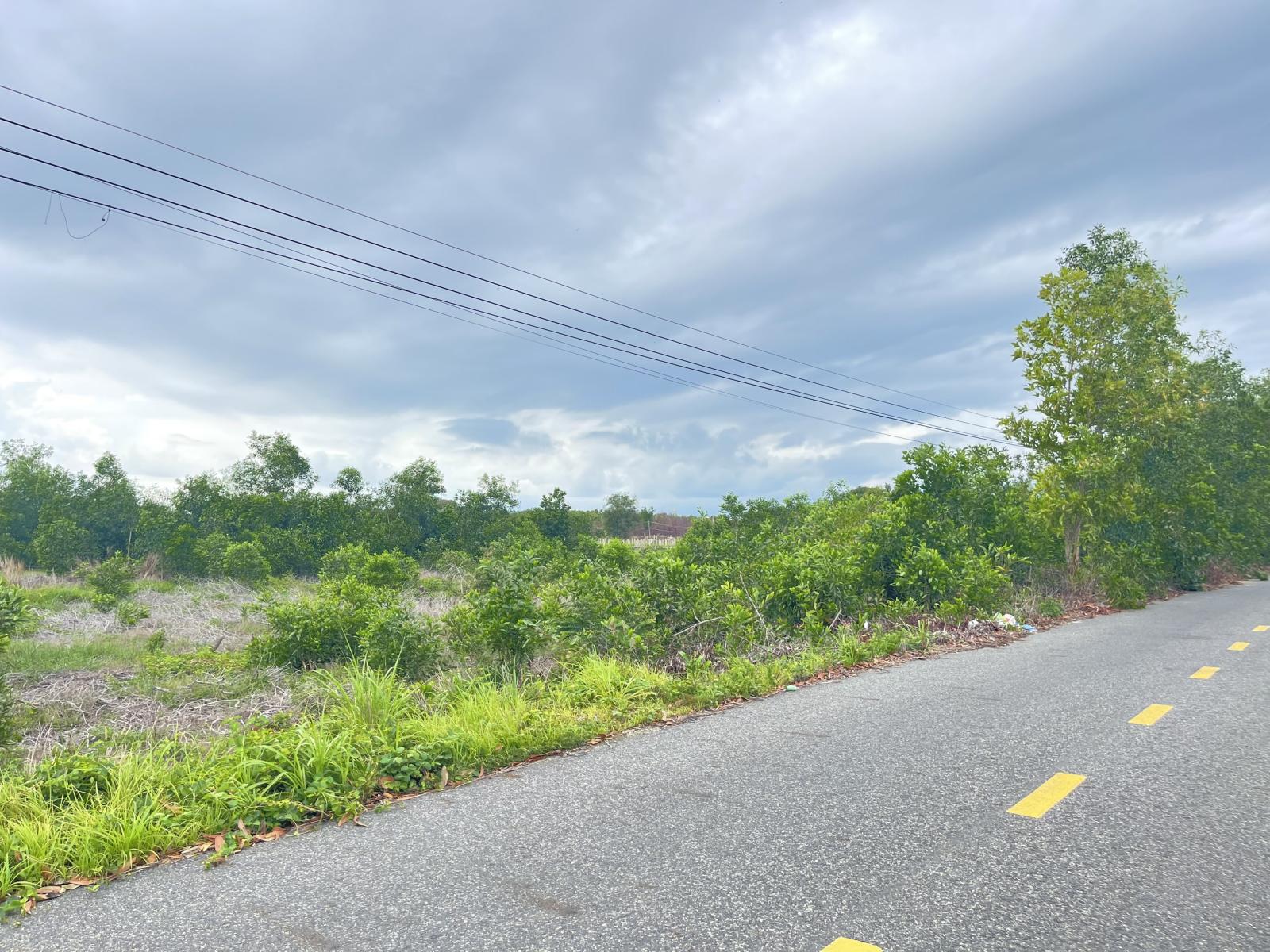 Bán 1000m2 đất ODT Mặt tiền Lê Quang Định - Tân Bình - LaGi gần biển giá mềm 15979905