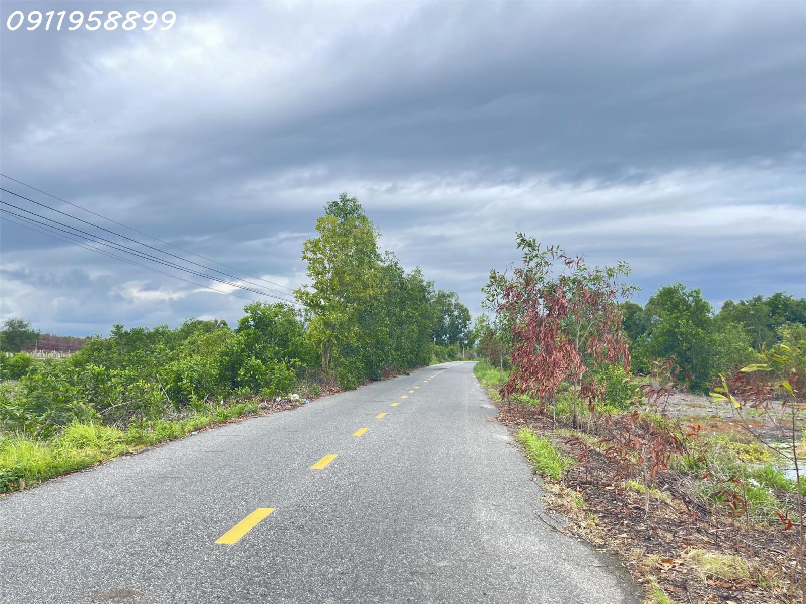 Bán 1000m2 đất ODT Mặt tiền Lê Quang Định - Tân Bình - LaGi gần biển giá mềm 15979905