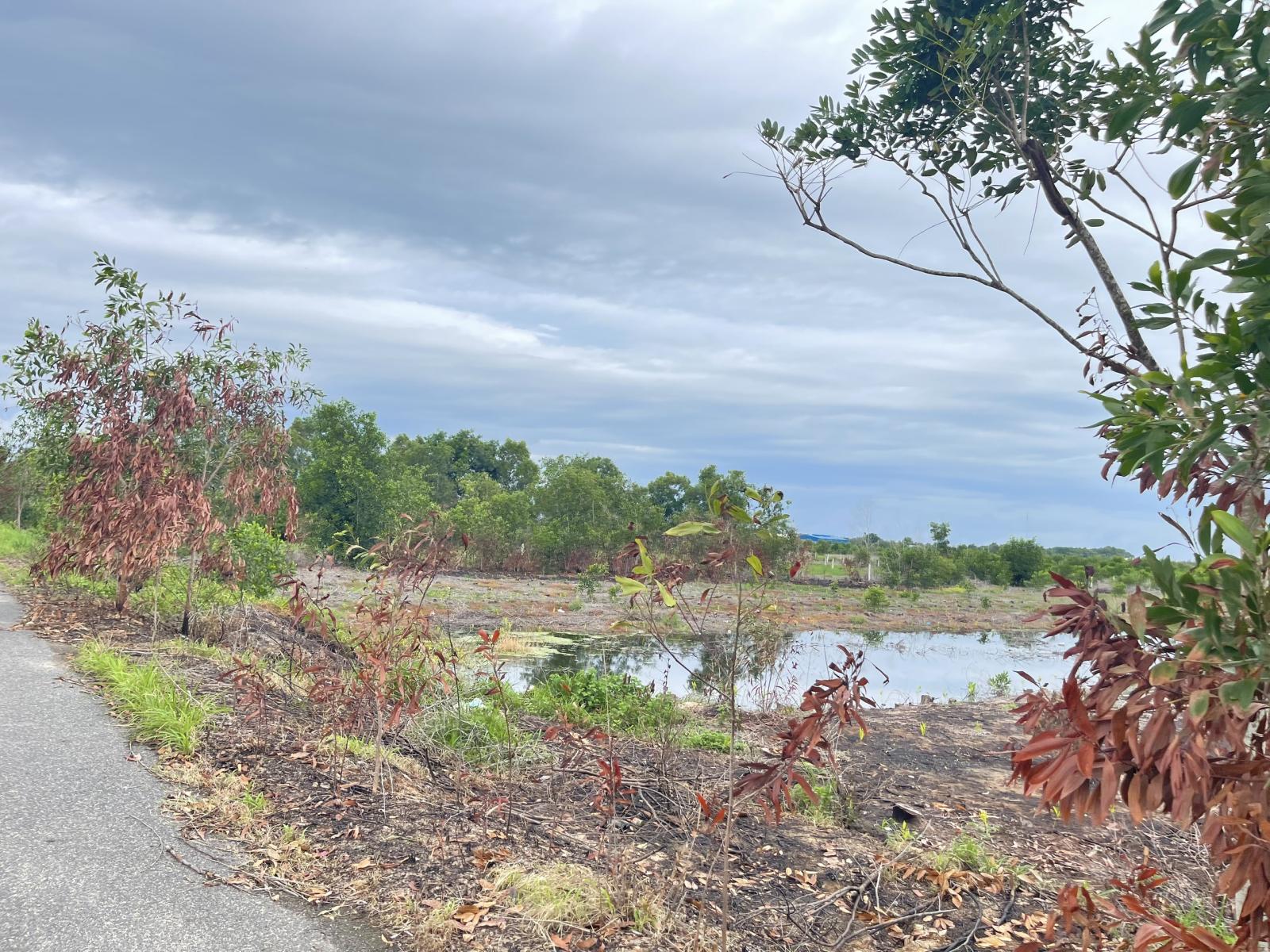 Bán đất tặng nhà cấp 4 Hẻm Lý Thái Tổ, Tân Tiến, LaGi giá rẻ gần biển 15979914