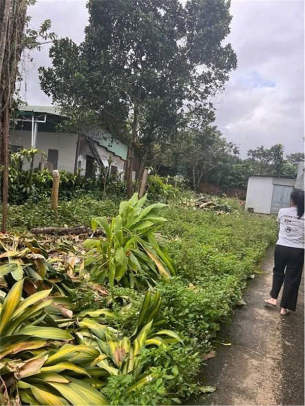 Đất Trung Tâm – Giá Tốt – Cần Bán Đất Tại Hẻm 95 Phan Chu Trinh, P. 3, TP.Bảo Lộc, Lâm Đồng 15979915