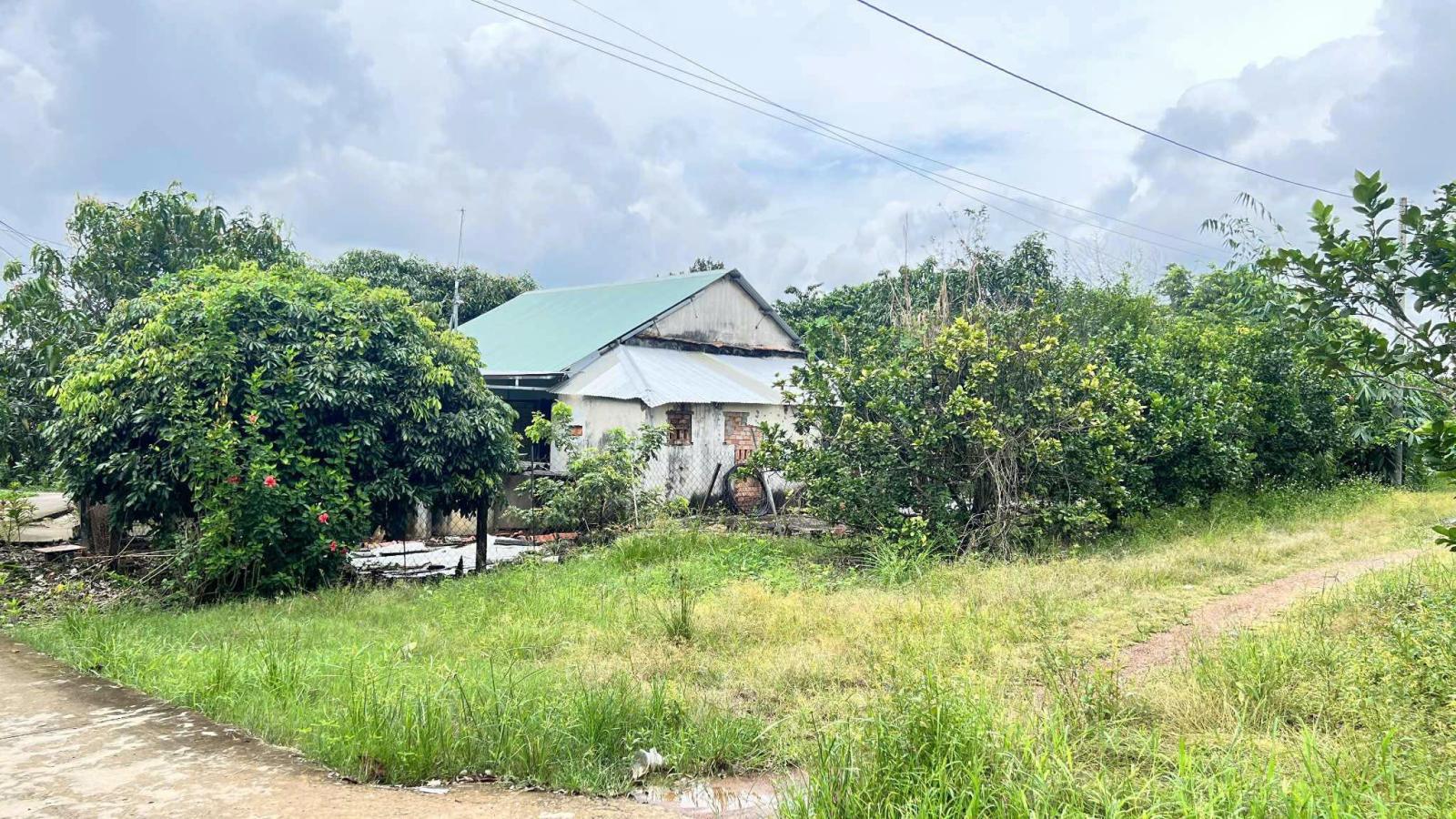 bán nhà cấp 4. khí hậu trong lành. hàng xóm đông đúc, thân thiện, sẵn sổ giao dịch liền 15980070