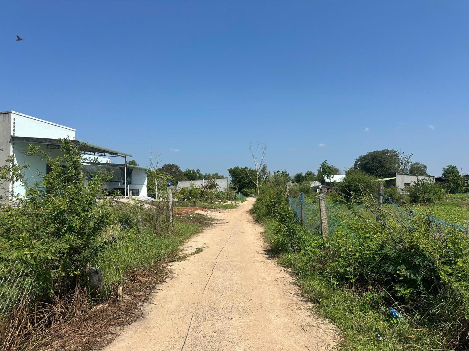 Bán 6m x 54m đất thổ cư hẻm Lý Thái Tổ, Tân Hải, LaGi giá 620 triệu gần biển 15980186