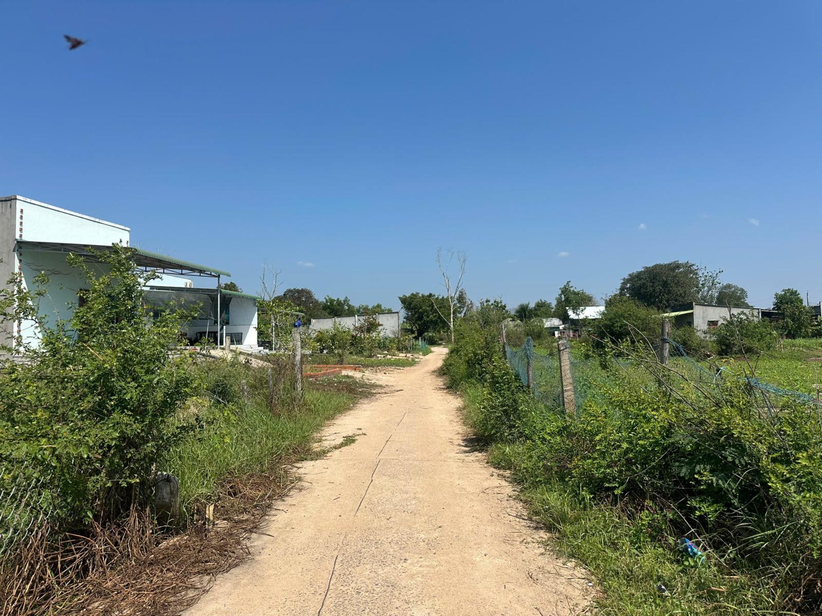 Bán 6m x 54m đất thổ cư hẻm Lý Thái Tổ, Tân Hải, LaGi giá 620 triệu gần biển 15980186