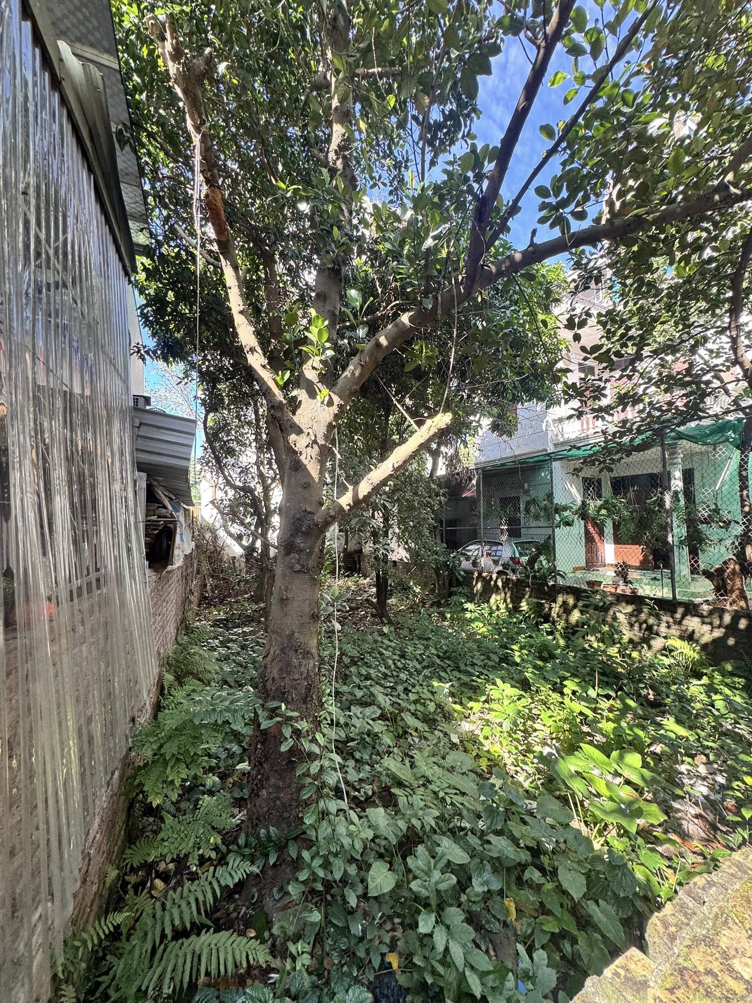 MẢNH ĐẤT NGÕ 355, AN DƯƠNG VƯƠNG, TÂY HỒ-KD-Ô TÔ:100M, MT 6,4M, GIÁ 27 TỶ. 15980459