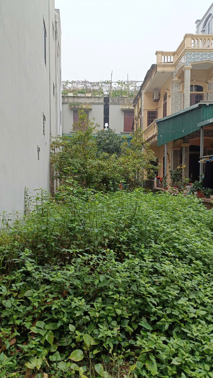 💥💥💥LÔ ĐẤT VÀNG DUY NHẤT CÒN SÓT LẠI TẠI TRUNG TÂM THẠCH BÀN🌹🌹🌹 15980468