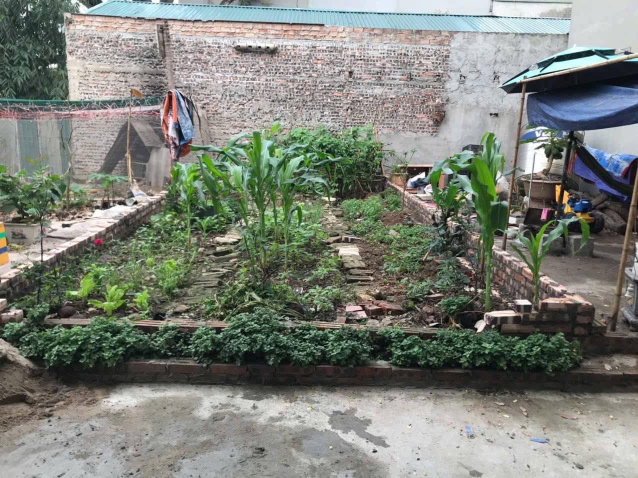 CHÍNH CHỦ CẦN BÁN 34,6 M2 ĐẤT TRÂU QUỲ - GIA LÂM, GIÁ NHỈNH 5 TỶ, LH 0985865658 15980525