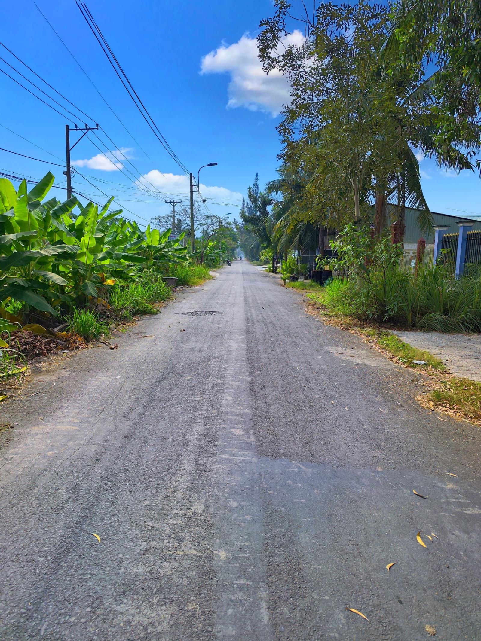 CẦN BÁN 299M2 ĐẤT THỔ CƯ VÀ NHÀ CẤP 4 MT ĐƯỜNG ĐÊ SỐ 2 15980574