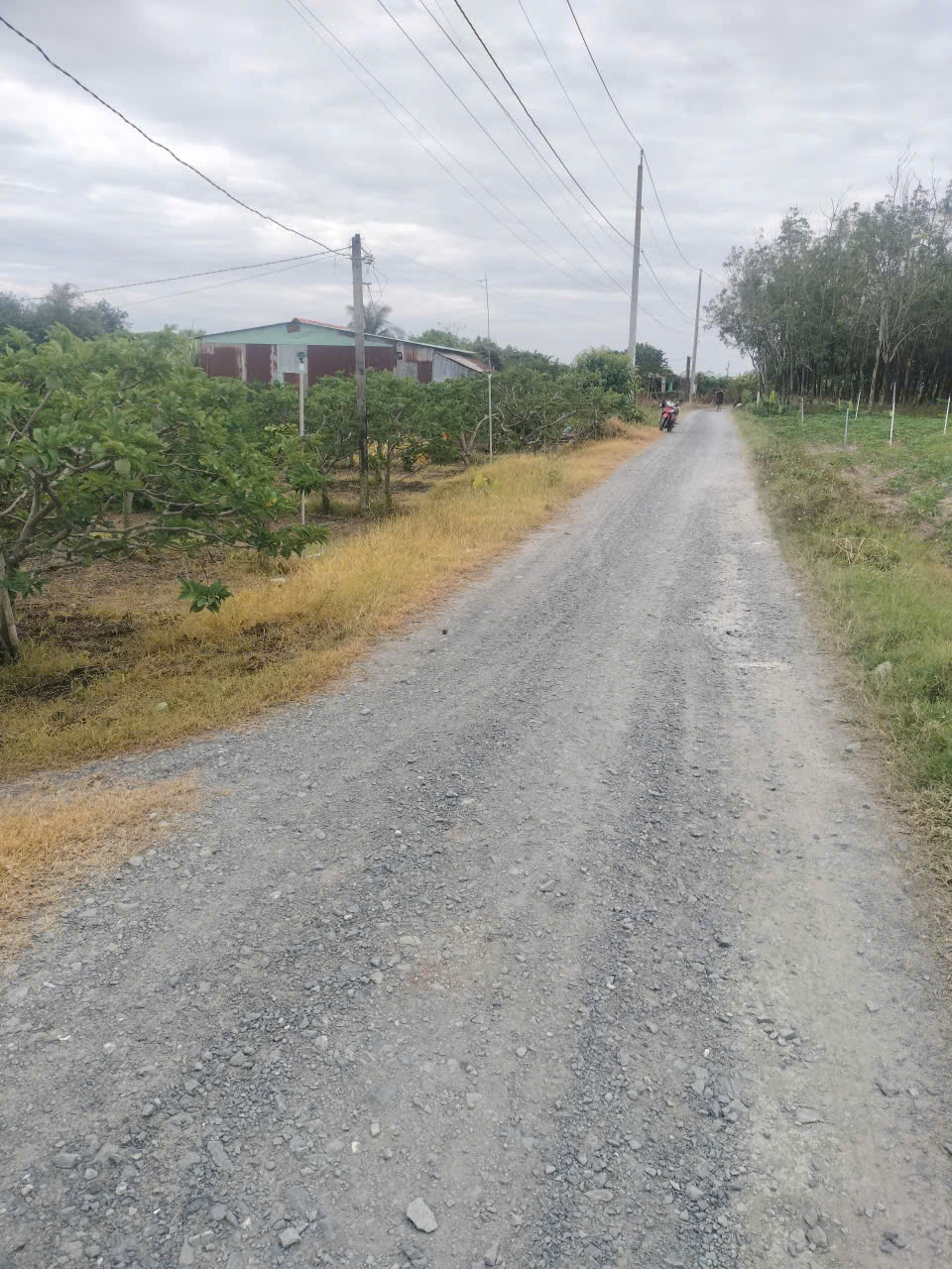 Cần bán đất trong TP Tây Ninh giá 9.6 tỷ 15980583