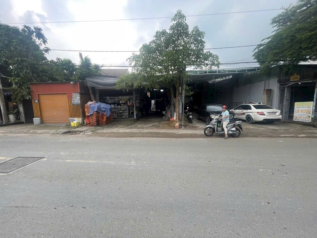 BÁN ĐẤT TẶNG NHÀ CẤP 4 – MẶT TIỀN ĐƯỜNG TAM BÌNH, TAM PHÚ, THỦ ĐỨC 15980601