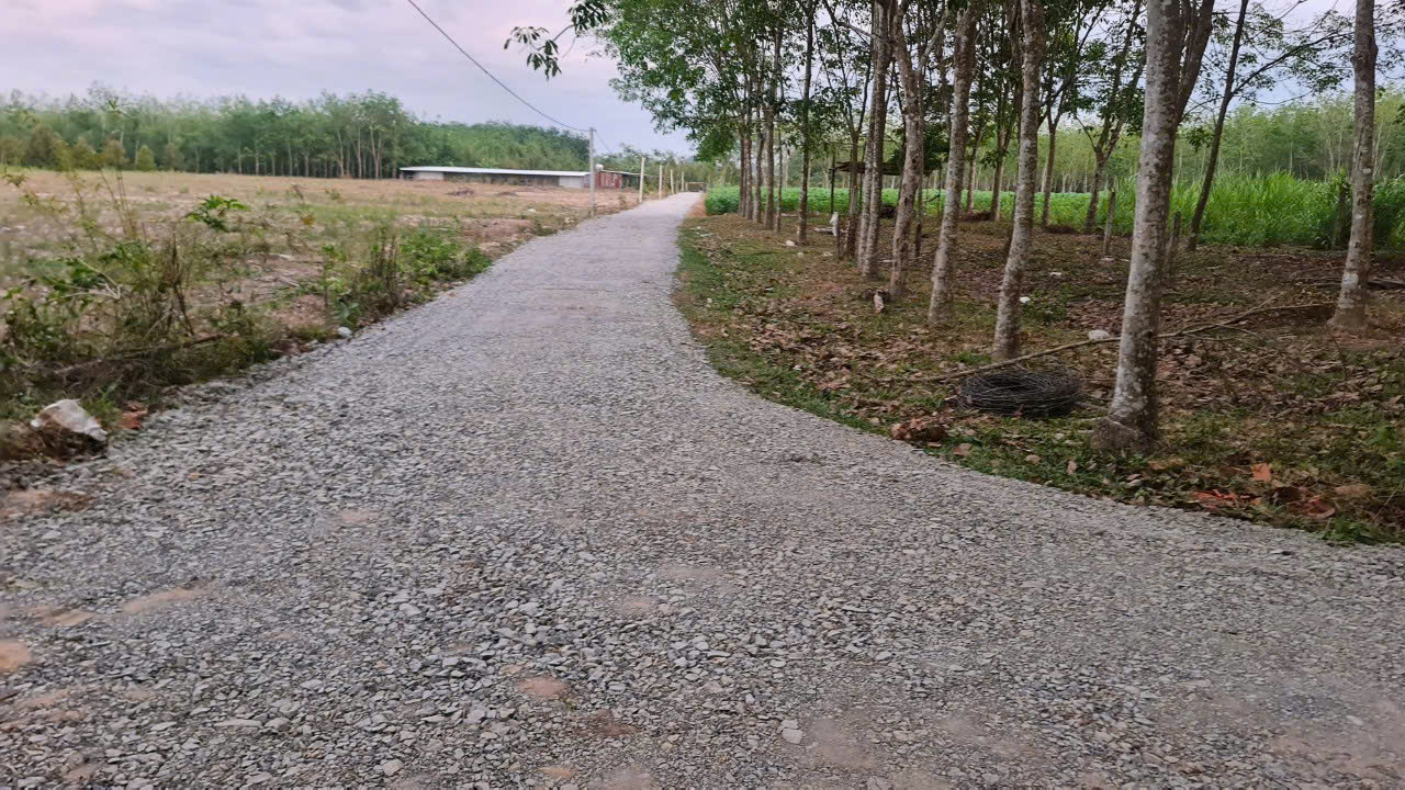 Cần bán đất Gò Dầu, Tây Ninh giá 2.75 tỷ 15980726