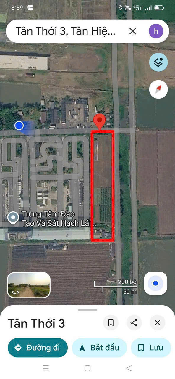 ĐẤT 3MT 1/ QL22, TÂN HIỆP, HÓC MÔN (5.000m²) NGAY TRƯỜNG LÁI & VÀNH ĐAI 3! 15980779