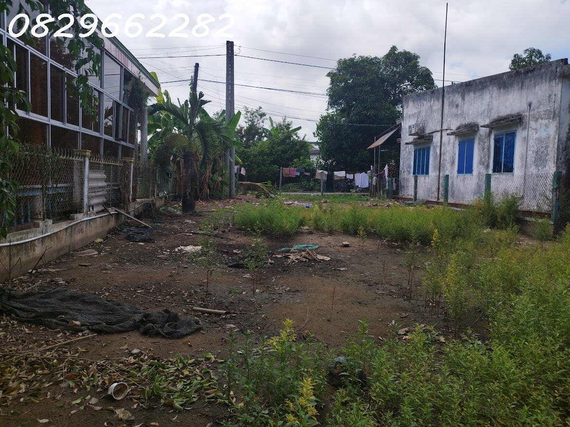 Bán 500m2 Đất Thổ Cư Sổ Hồng ĐN, Tân Khánh Đông, TP Sa Đéc. Giá 2.6 Tỷ. 15980811