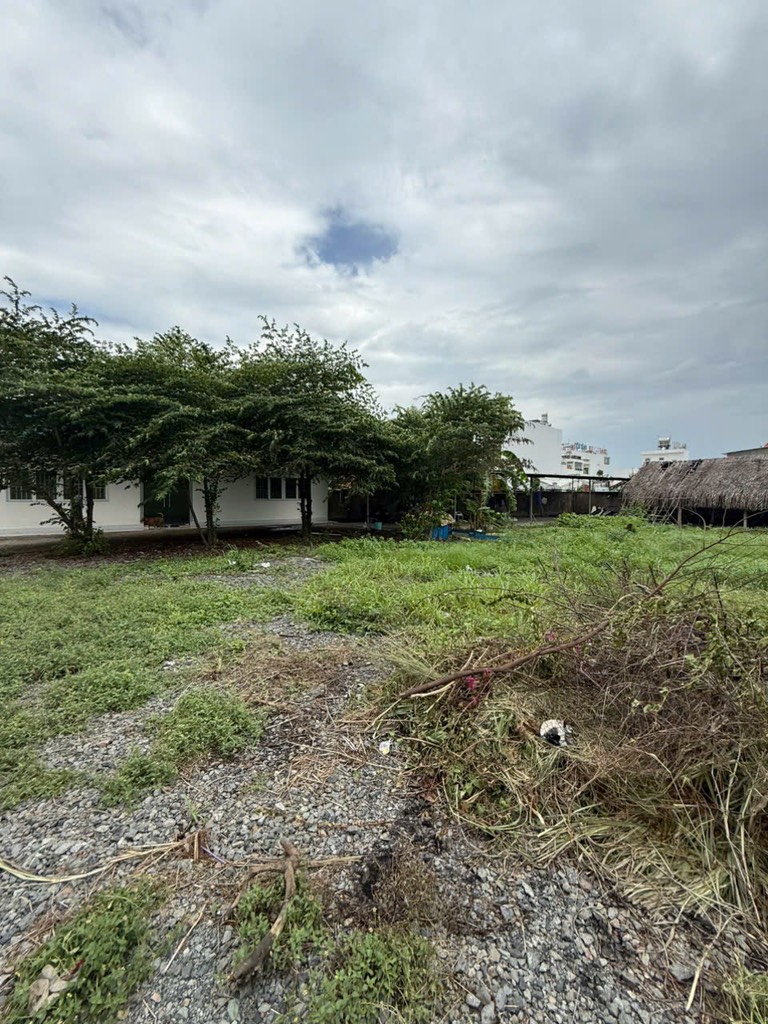 Nhượng Gấp 10.000m2 Đất QH Xây 20 Tầng  MT- QL13 Thủ Dấu Một  300 Tỷ 15980918