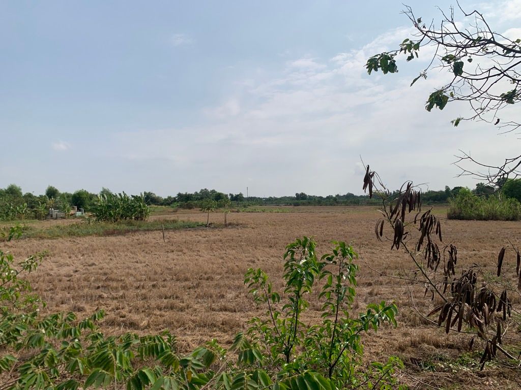 Đất Mặt Tiền - Hưng Long, Đa Phước, Bình Chánh 15000m² Chỉ  70 Tỷ, 15980926