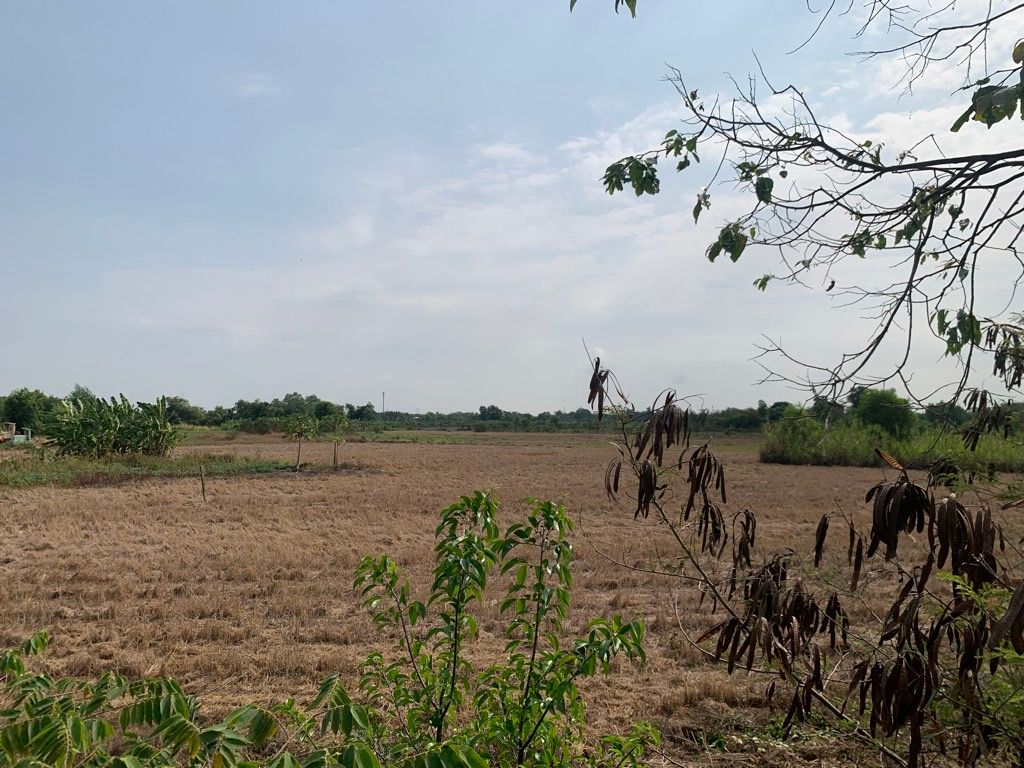 Đất Mặt Tiền - Hưng Long, Đa Phước, Bình Chánh 15000m² Chỉ  70 Tỷ, 15980926