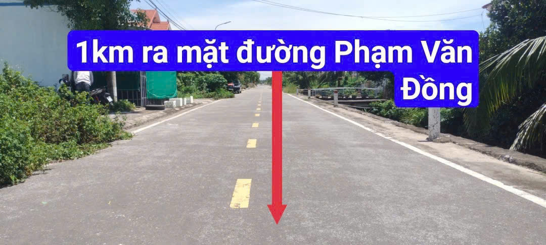 BÁN ĐẤT MẶT ĐƯỜNG TRUNG NGHĨA – ĐỒ SƠN – DIỆN TÍCH 300M² – GIÁ 17,5TR/M² 15980935