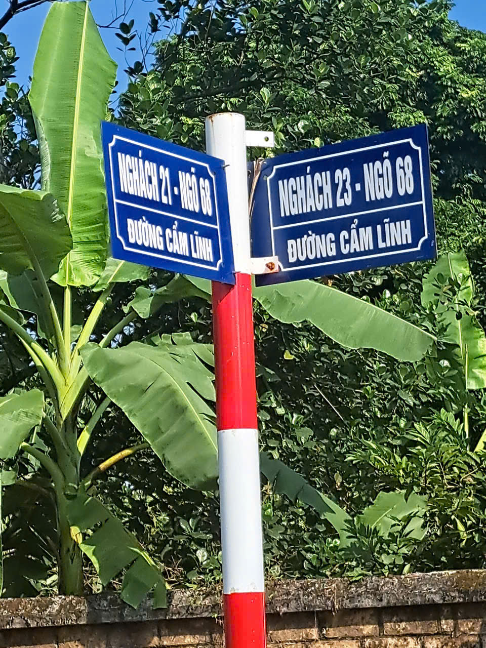 BÁN ĐẤT CÂM LĨNH, BA VÌ, HÀ NỘI-116M-GIÁ CHỈ 350 TRIỆU 15981016