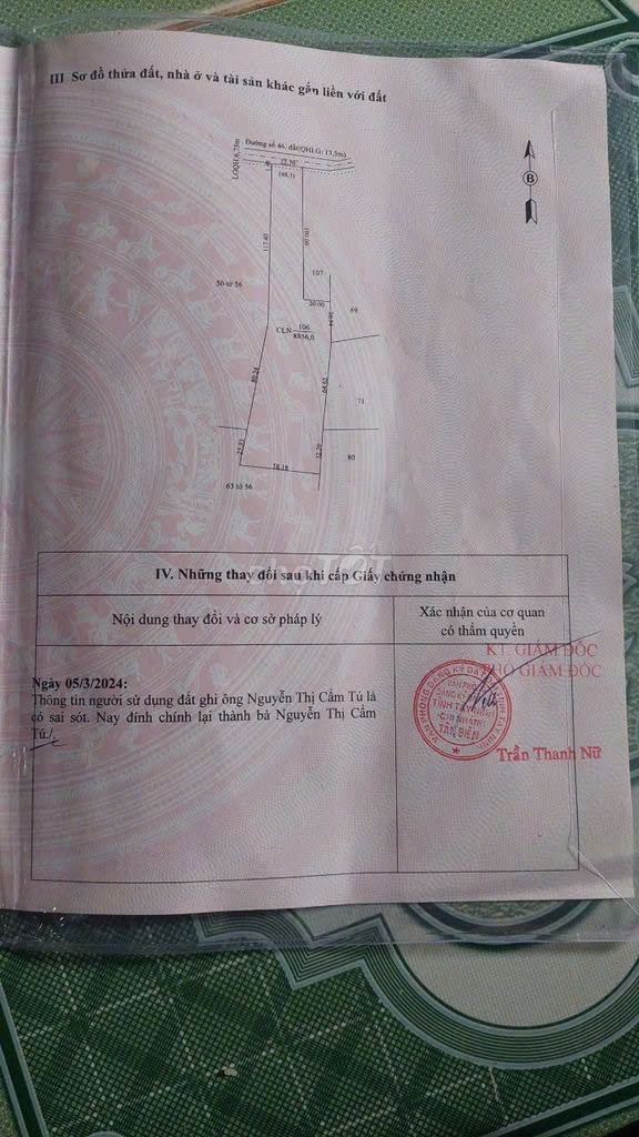 Chính Chủ Cần Bán Đất Trông Cao Su Lâu Năm Đường Số 46, Xã Thạnh Tây, Huyện Tân Biên, Tây Ninh 15981078