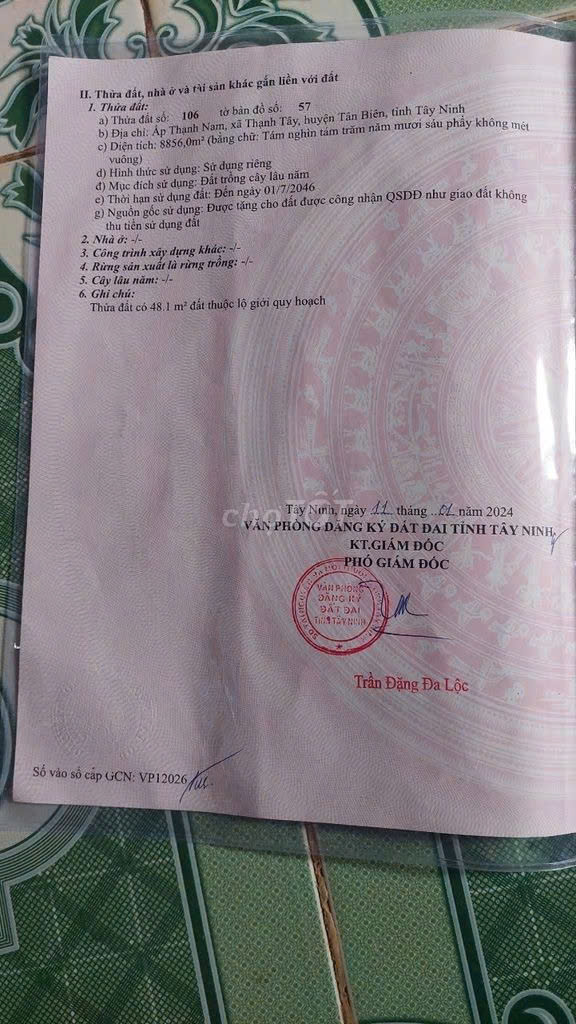 Chính Chủ Cần Bán Đất Trông Cao Su Lâu Năm Đường Số 46, Xã Thạnh Tây, Huyện Tân Biên, Tây Ninh 15981078