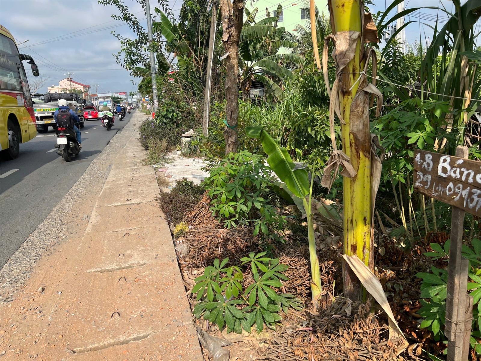 ĐẤT ĐẸP - MẶT TIỀN - Bán GẤP Lô Đất Tiềm Năng Tại xã An Bình, huyện Cao Lãnh, Đồng Tháp cũ 15981082