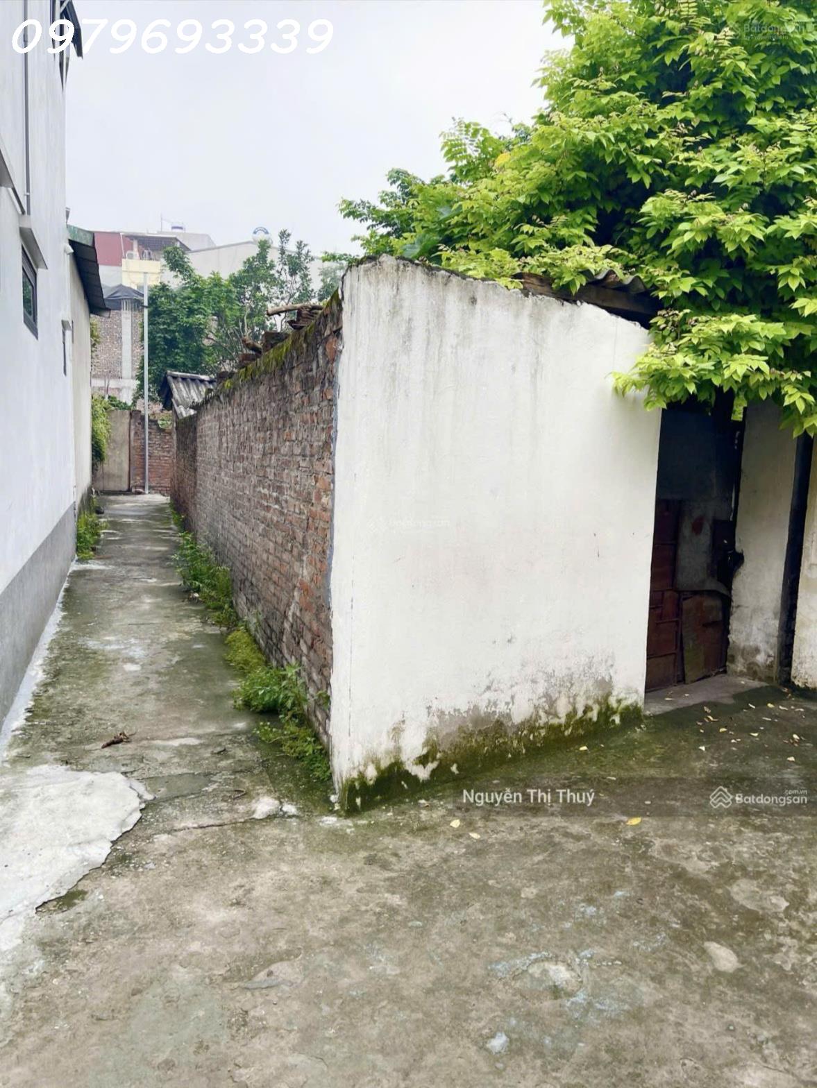 Hàng hiếm! Bán đất 3 mặt tiền ngõ 38 Kim Quan Thượng, Việt Hưng 15981098