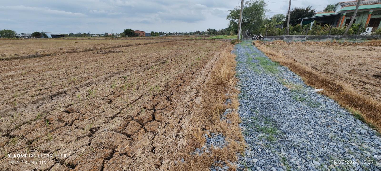 Bán gấp lô đất lúa hai mặt tiền xã Đức Tân giá 800 triệu 15981180