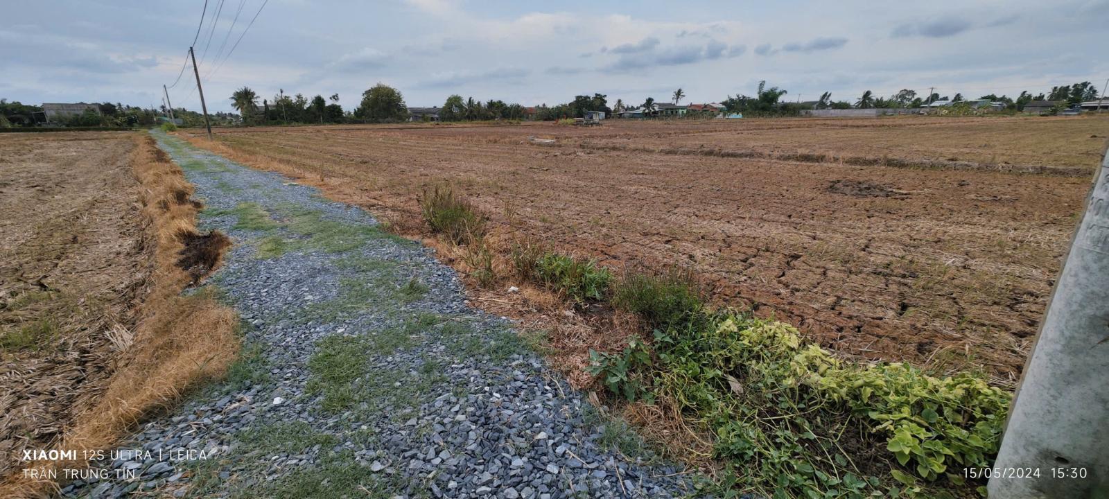 Bán gấp lô đất lúa hai mặt tiền xã Đức Tân giá 800 triệu 15981180