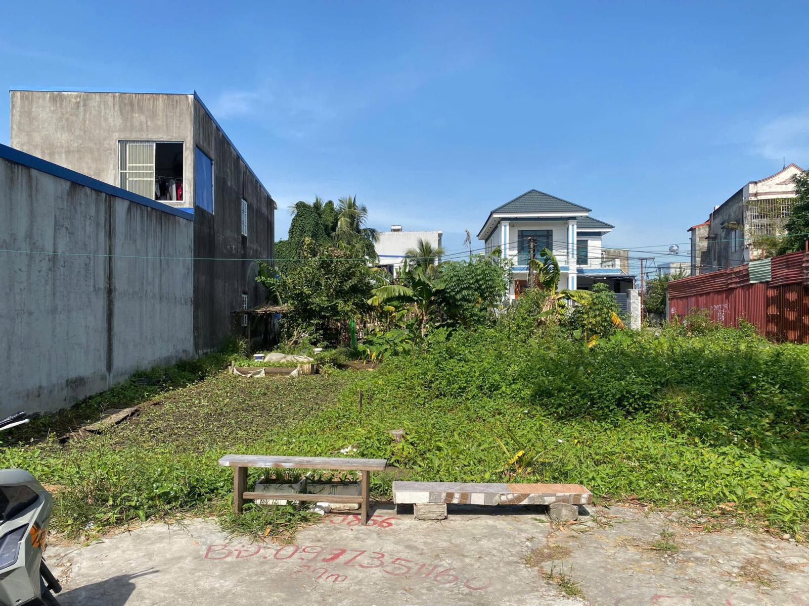 Bán đất ở TDP Lương Quán Nam Sơn p. An Dương 137 m2, 3,1 tỷ 15981191