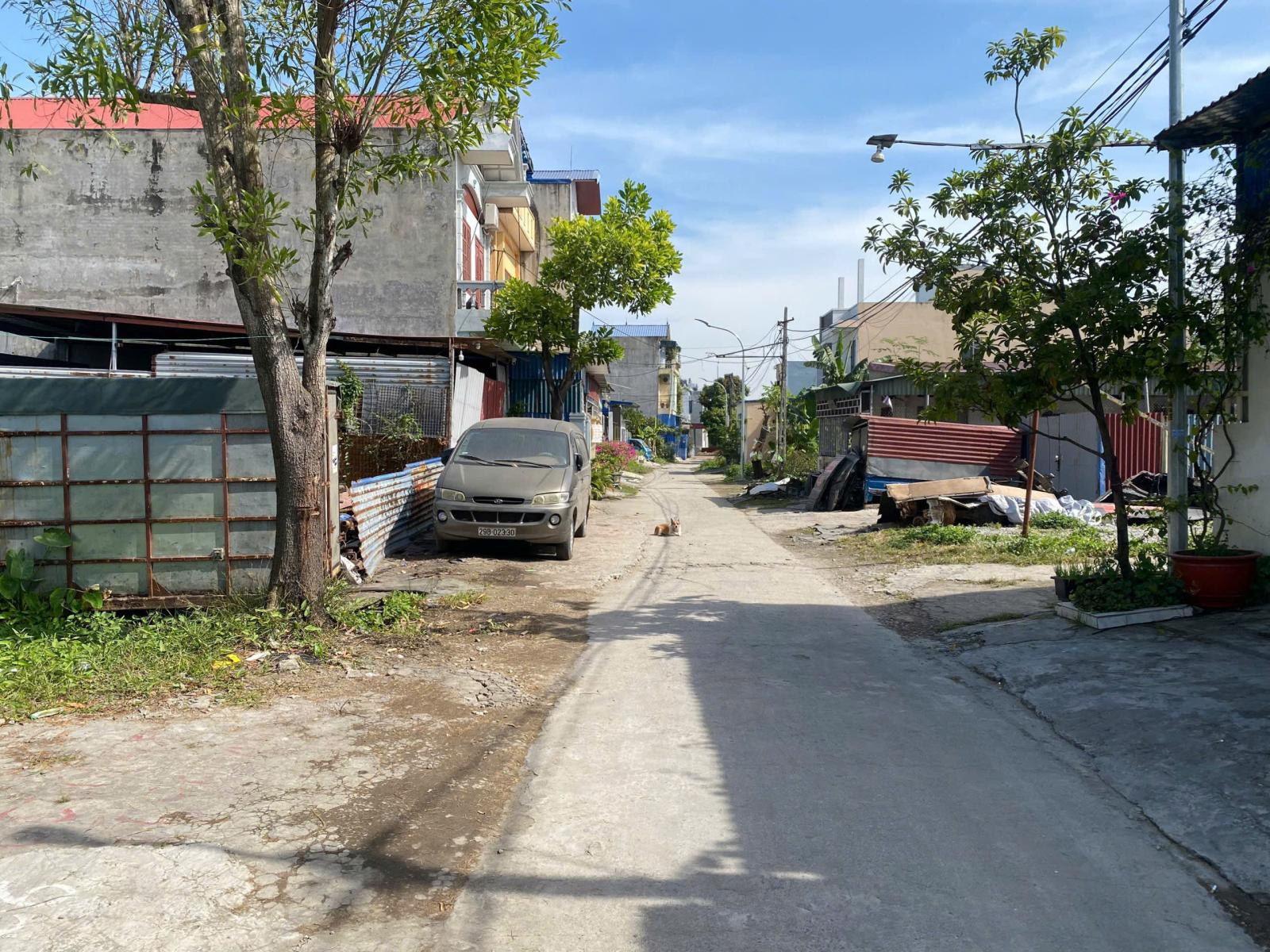 Bán đất ở TDP Lương Quán Nam Sơn p. An Dương 137 m2, 3,1 tỷ 15981191