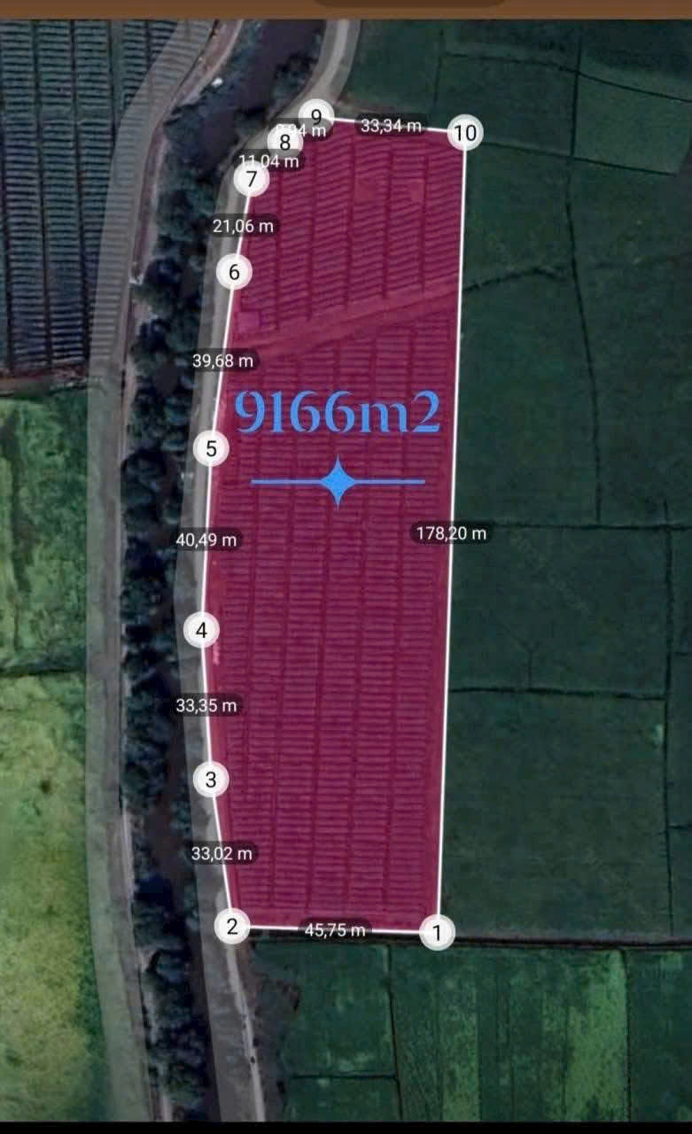 QUỸ ĐẤT LỚN 9.116M² – SÁT VINHOMES 924HA – TÂN THỚI NHÌ, HÓC MÔN 15981221