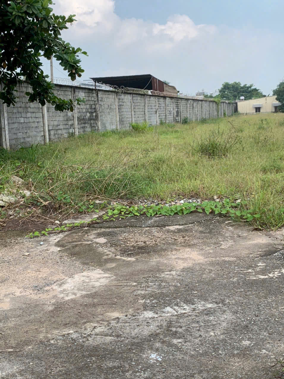 QUỸ ĐẤT 1HA MẶT TIỀN TÔ KÝ 12 – NGANG 39M – HÓC MÔN GIÁ ĐẦU TƯ CHỦ GẤP BÁN 15981281