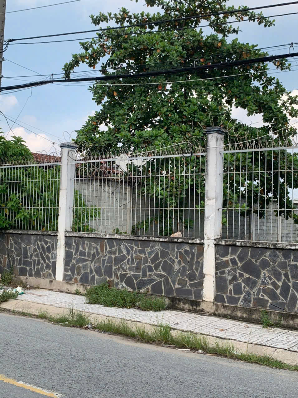 QUỸ ĐẤT 1HA MẶT TIỀN TÔ KÝ 12 – NGANG 39M – HÓC MÔN GIÁ ĐẦU TƯ CHỦ GẤP BÁN 15981281