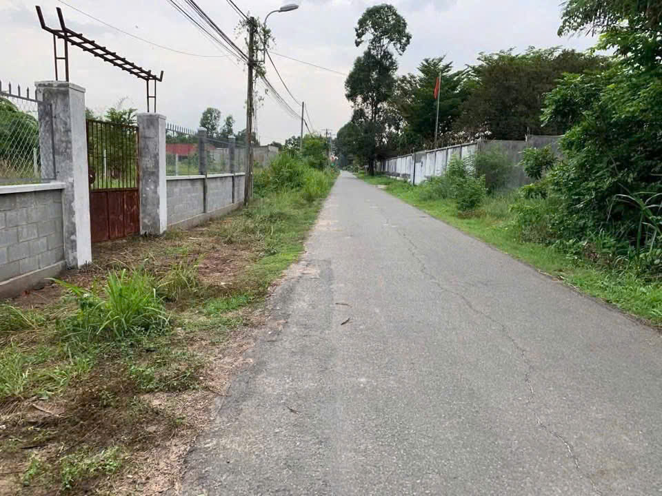 2 LÔ ĐẤT DIỆN TÍCH ĐẸP ĐƯỜNG NHỰA – PHẠM VĂN CỘI, CỦ CHI – GIÁ TỐT 15981346