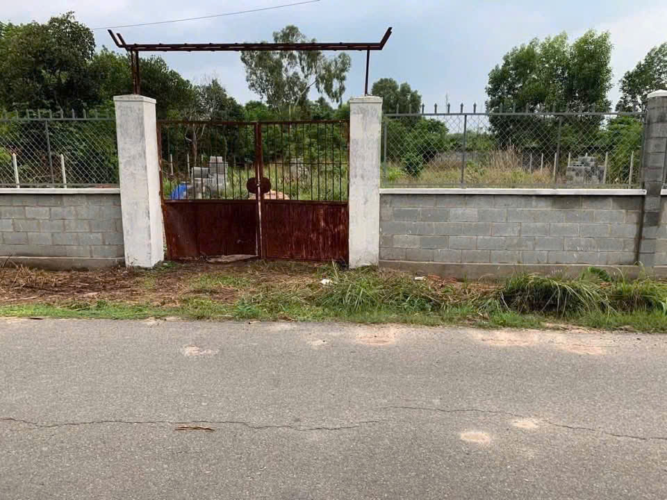 2 LÔ ĐẤT DIỆN TÍCH ĐẸP ĐƯỜNG NHỰA – PHẠM VĂN CỘI, CỦ CHI – GIÁ TỐT 15981346