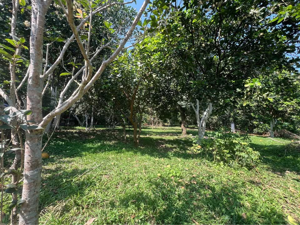 Bán lô đất 4860m2 ( 450m2 thổ cư) Tại phường Thống Nhất -  Hoà Bình ( nay là Tỉnh Phú Thọ) 15981390