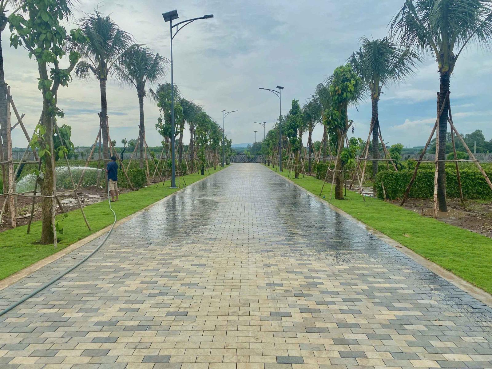 5,9 TRIỆU/M² – MUA ĐẤT HAY MUA 