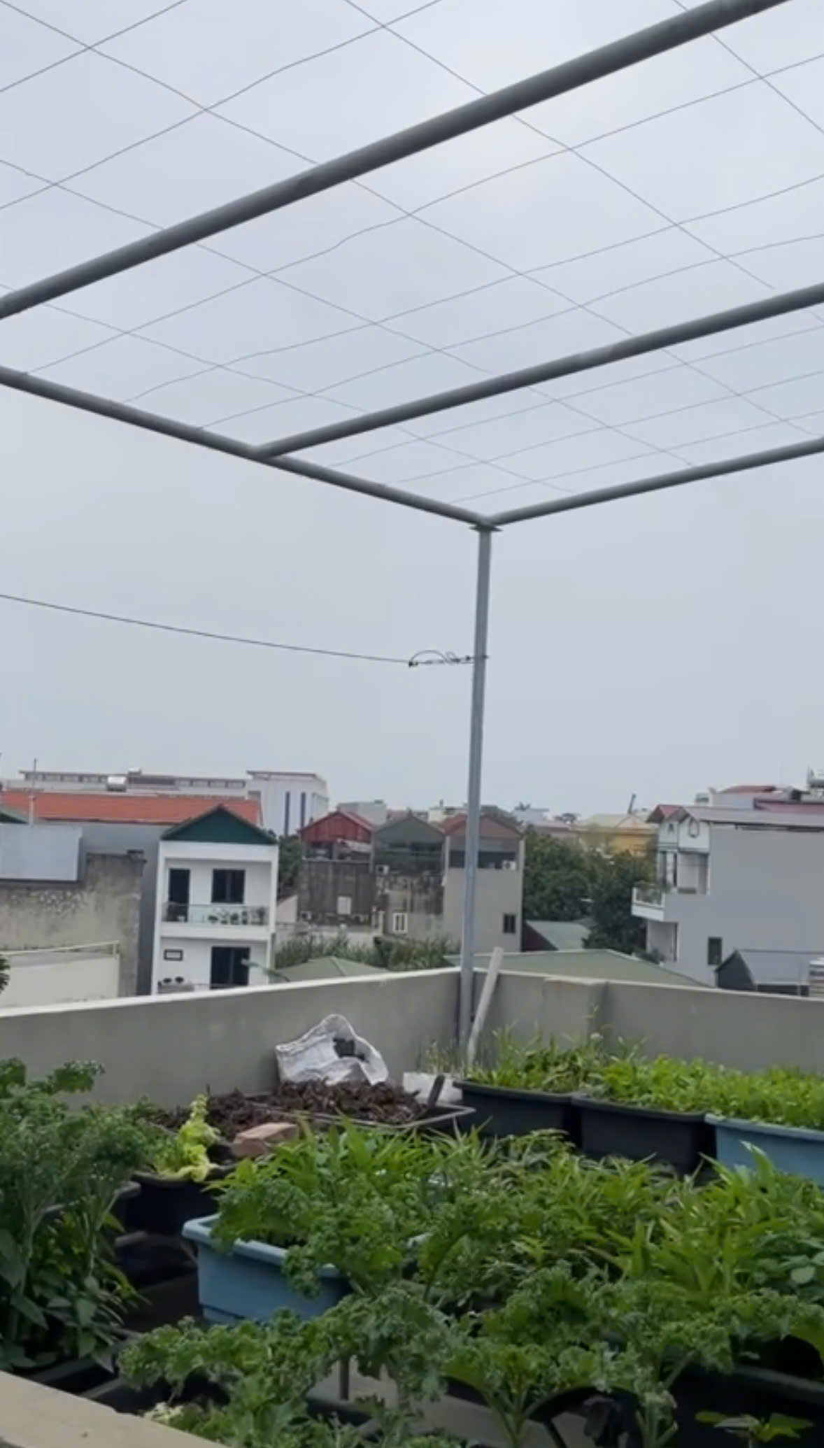 🔥 Ngọc Hồi – căn 41m cực hiếm, tầm tiền 6,5 tỷ mà tìm được nhà gọn gàng thế này gần như không có 15981460