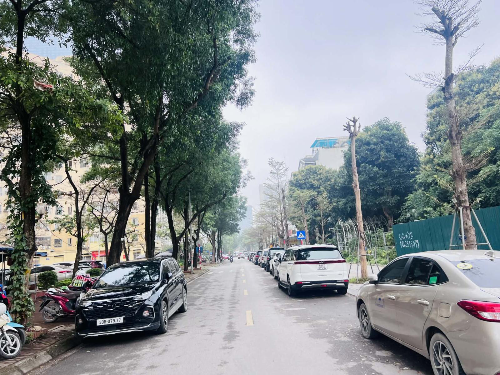 SHOPHOUSE NGUYỄN CHÁNH, CẦU GIẤY 115m - 5 TẦNG - DÒNG TIỀN GẦN 1tỷ/NĂM - ĐẦU TƯ AN TOÀN 15981473