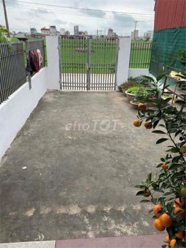 Chính Chủ Cho Thuê Nhà Mặt Tiền Đường 12 Thôn An Tĩnh (Thôn Tâng),Xã Yên Bình, Huyện Ý Yên, Nam Định 15981514