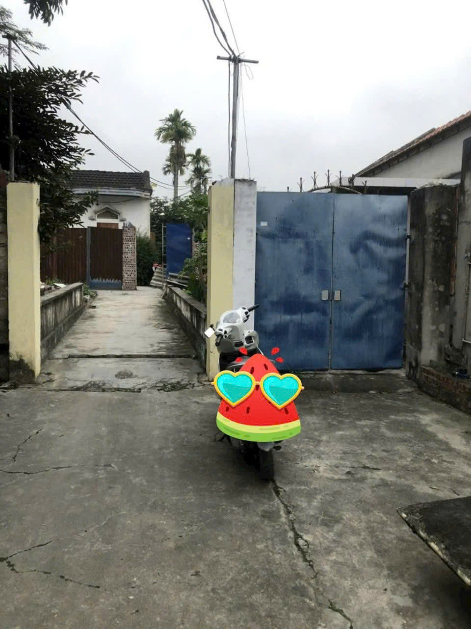 Bán lô đất 87.5m2 Thuộc TDP 8 Mỹ Đồng, Ngũ Lão - Phường Bạch Đằng - Hải Phòng. 15981519