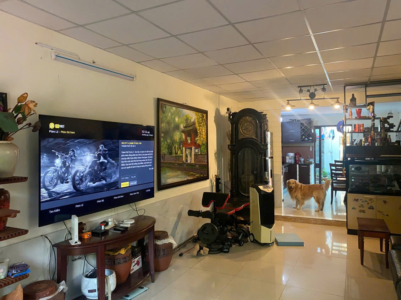 Bán Biệt Thự Thảo Điền Quận 2 Giá tốt nhất duong 64 , 15981540