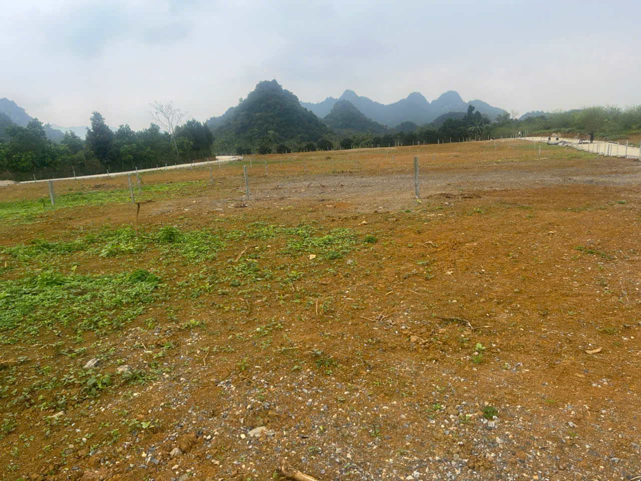 BÁN ĐẤT MẶT TIỀN OTO TRÁNH FULL TIỆN ÍCH TRUNG TÂM THUNG MƯỜNG-TÚ SƠN 15981645