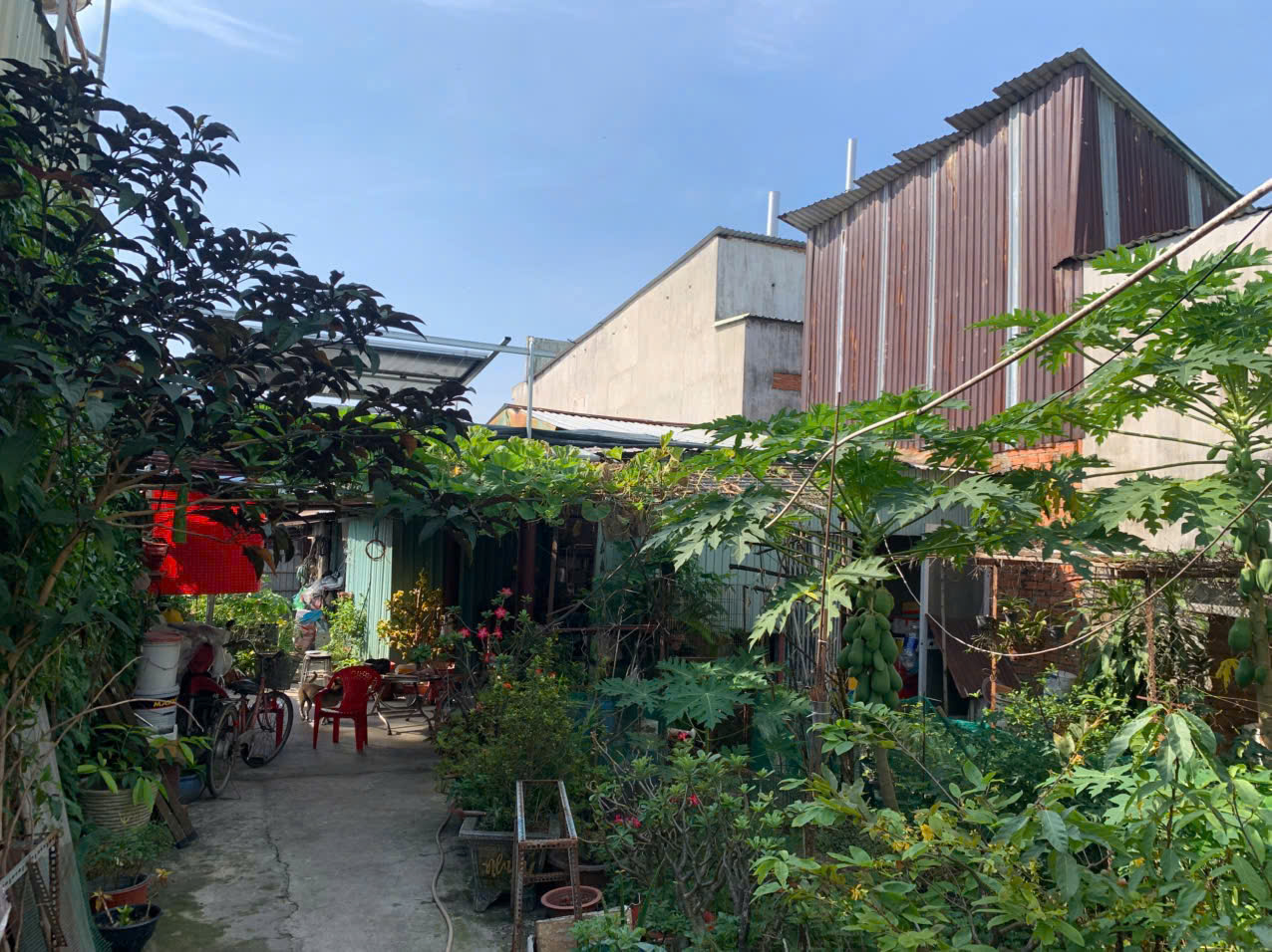 ĐẤT ĐẸP CẦN BÁN XÃ THỚI TAM THÔN HÓC MÔN CHỈ 4 TỶ 550 TRIỆU 15981654