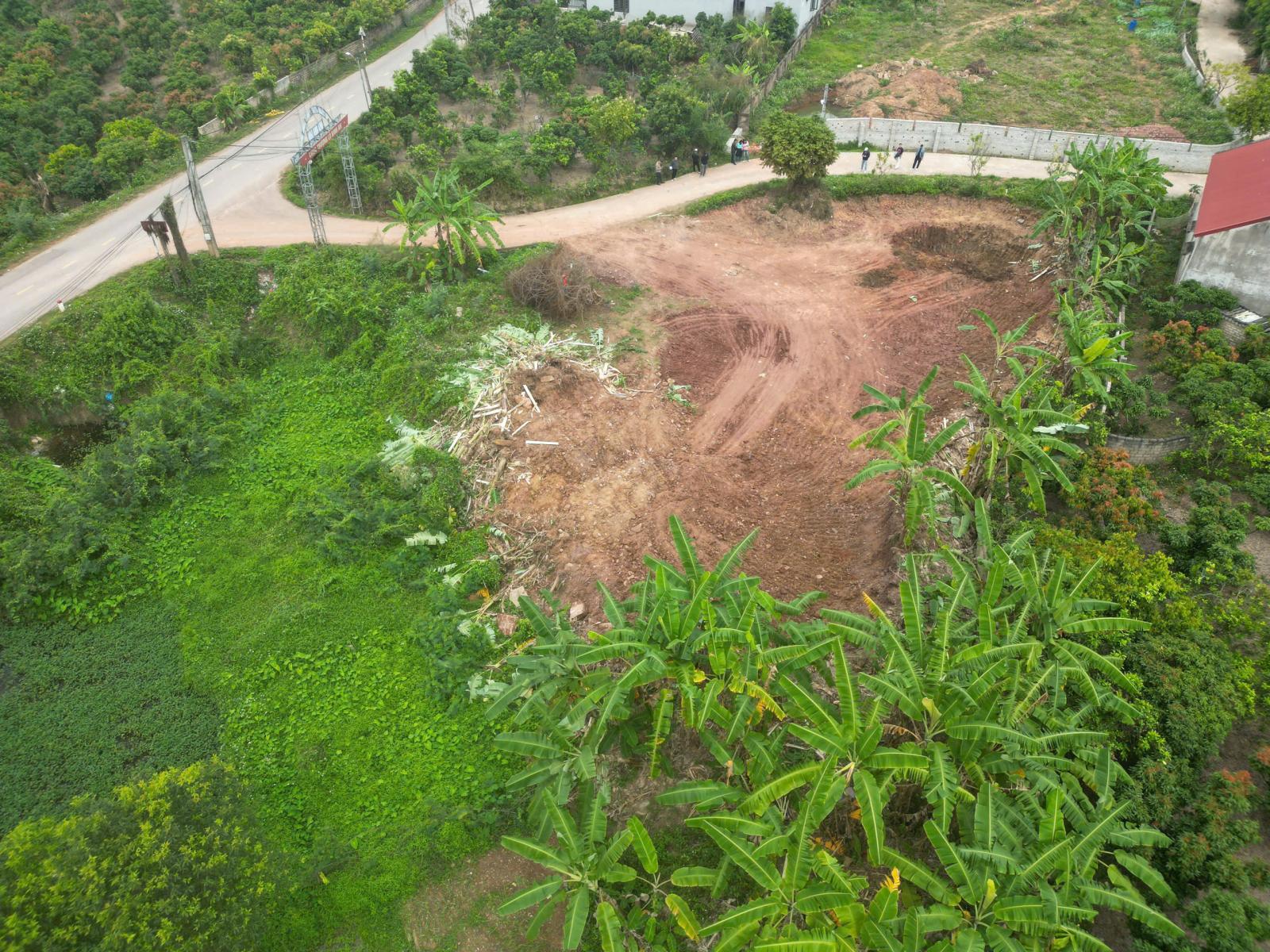 KHU ĐẤT TDP HAI CŨ, PHƯỜNG PHƯỢNG SƠN 15981815